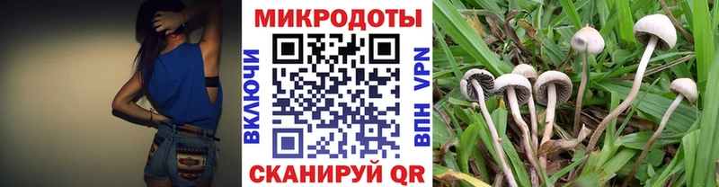 Галлюциногенные грибы ЛСД  Купить  Энгельс 